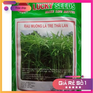 HẠT GIỐNG RAU MUỐNG LÁ TRE 50 GRAM LUCKY.VN