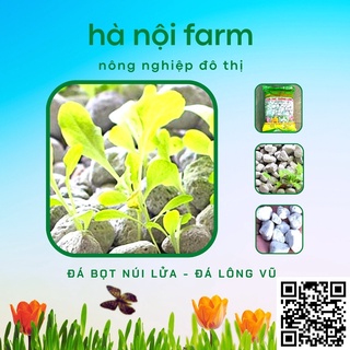 Đá bọt núi lửa, Đá lông vũ  - Đá giữ ẩm size 1-2 - túi 5dm