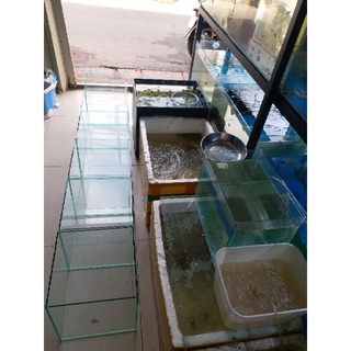 Hồ Cá Cảnh 20. 20.20