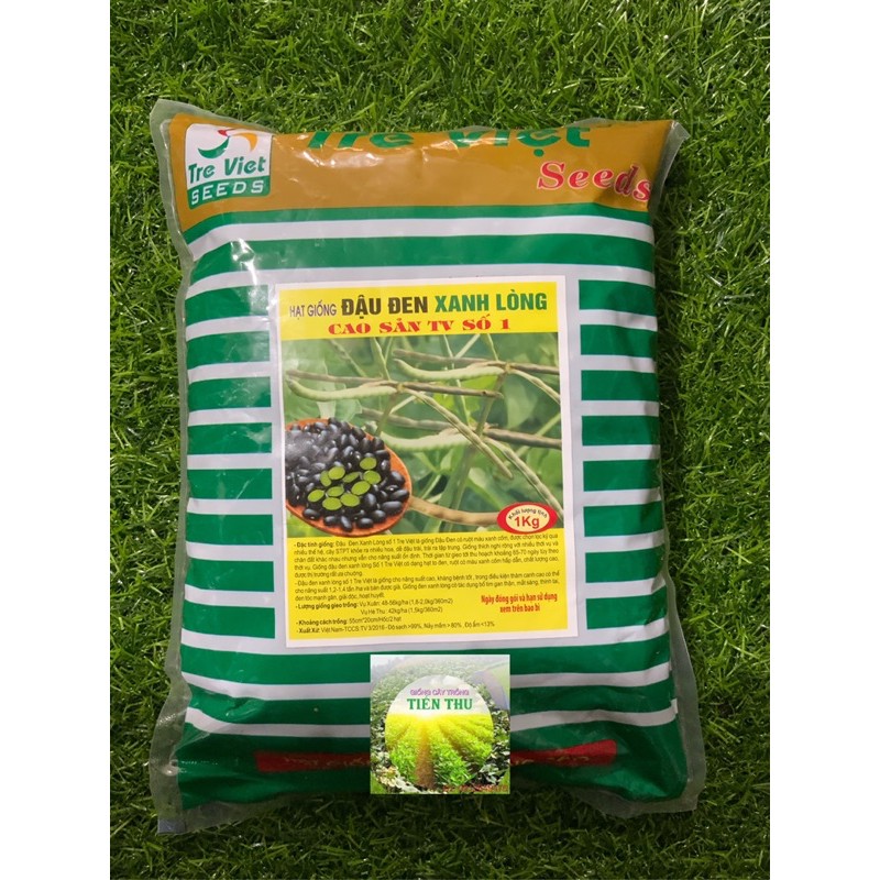 HẠT GIỐNG ĐẬU ĐEN XANH LÒNG (CAO SẢN TV SỐ 1) 1kg