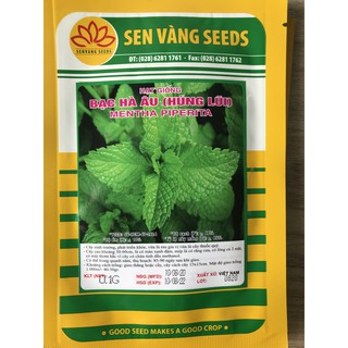 Hạt giống Rau Bạc Hà (Húng Lũi)