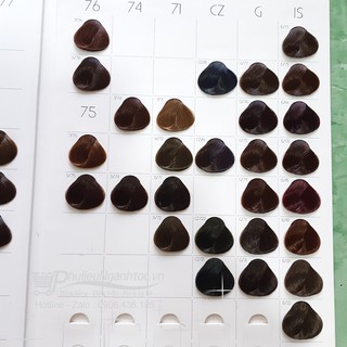 Thuốc nhuộm tóc Sougtor