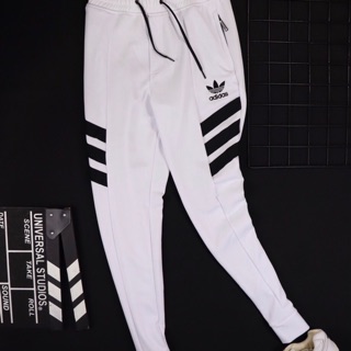 Quần thể thao nam adidas
