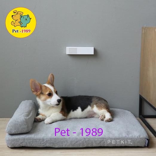 [Mã 159FMCGSALE giảm 8% đơn 500K] Máy Khử Mùi Vệ Sinh Chó Mèo PETKIT PURA AIR Pet-1989