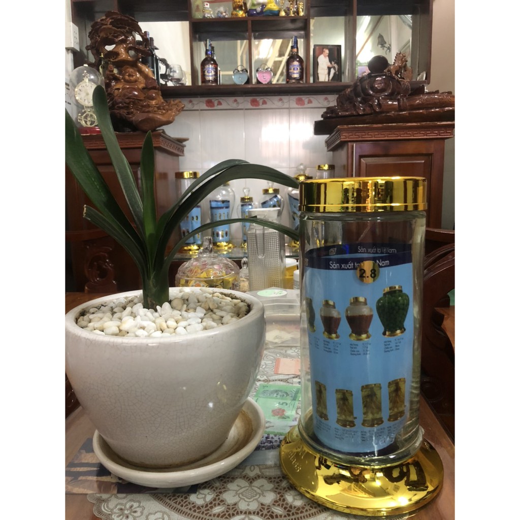Bình Thủy Tinh Ngâm Rượu HS 2.8L - Thủy Tinh Bắc Hải