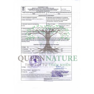 Ngũ cốc lợi sữa Queen nature