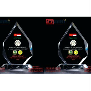 Combo 2 Cúp giọt nước