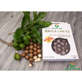 Hạt Macca Đã Rang Nứt Vỏ Size Lớn 500G [MaccaTâyNguyên-LâmHàLâmĐồng]
