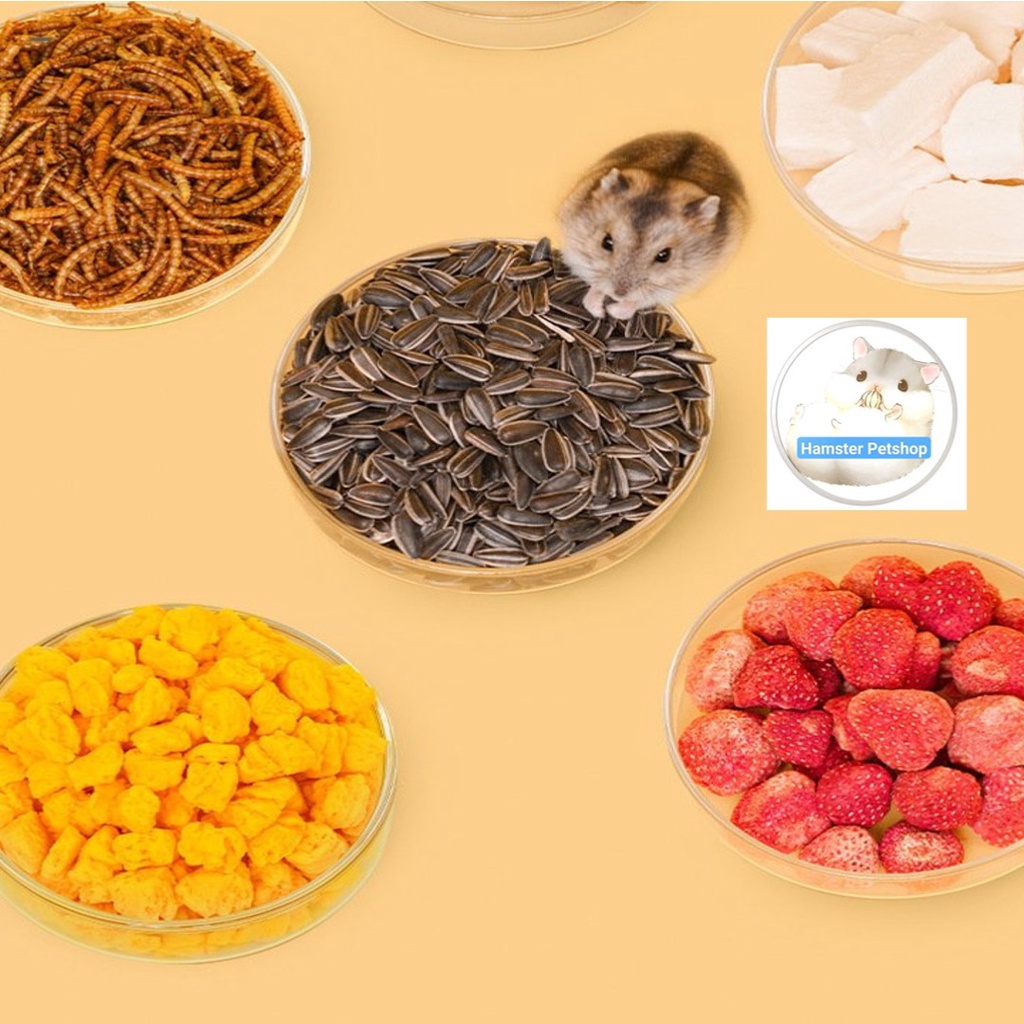 Thức ăn dặm đóng hộp cho hamster và thú cưng nhỏ