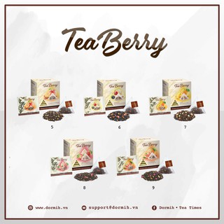 TeaBerry with Flavouring Pyramid - BST trà hoa quả túi lọc kim tự tháp