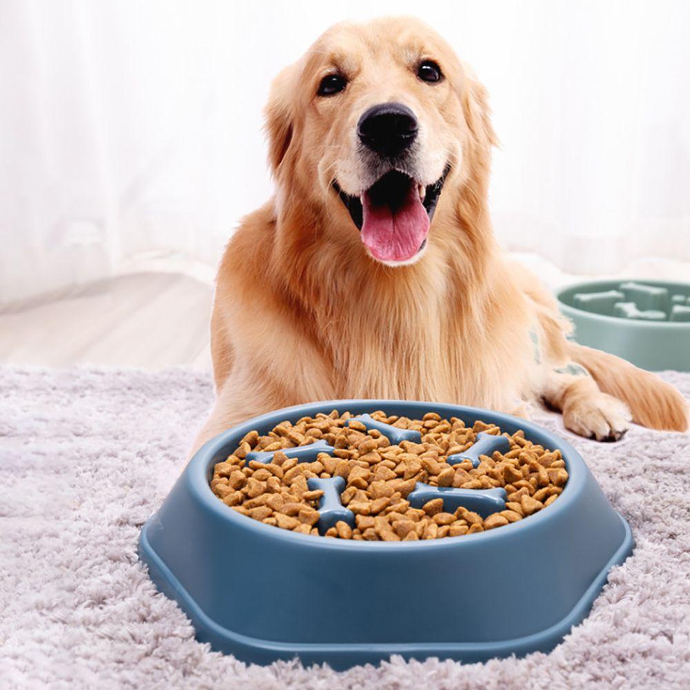 Đĩa Đựng Thức Ăn Cho Thú Cưng Hình Khúc Xương