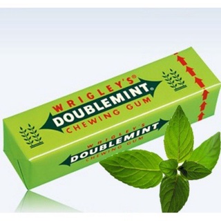 Kẹo gum doublemint hương bạc hà 13.5g
