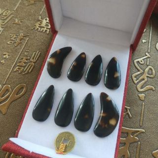 Móng Guzheng chất liệu tốt giúp âm thanh đàn ra trầm ấm tốc độ duy chuyển đánh dây cực nhanh. Ngón cái dáng cong độc đáo