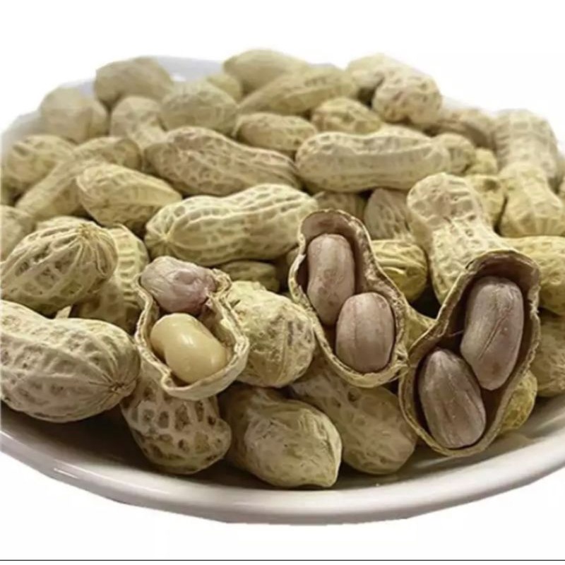 500g đậu phộng sấy khô nguyên vỏ Giá Chỉ 35k