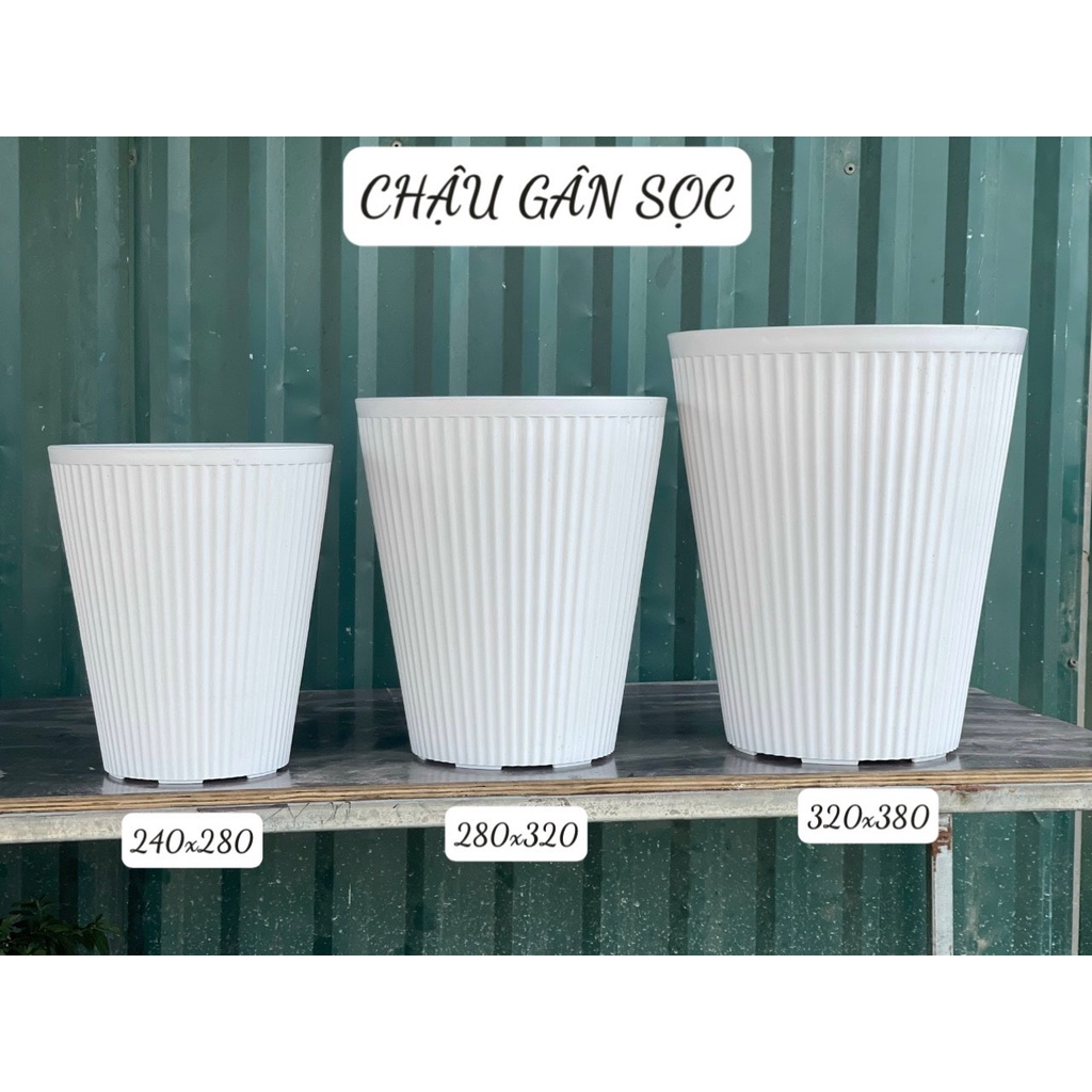 3 Chậu nhựa trồng cây hoa gân sọc dọc loại cao cấp đủ size COMBO 03 CHẬU