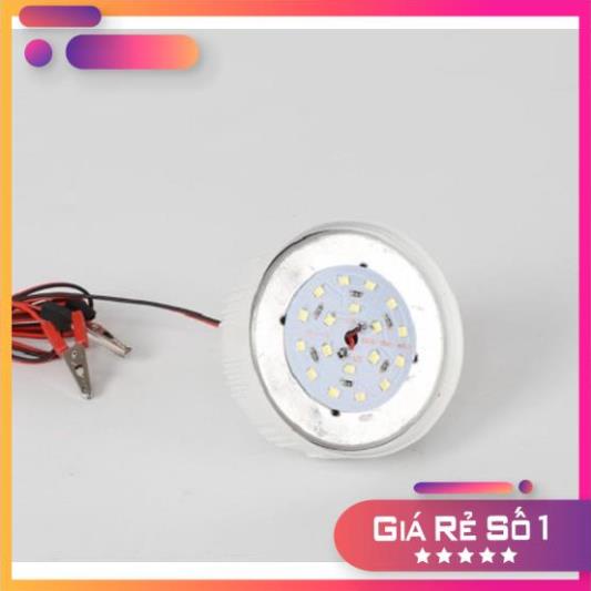 Bóng đèn ắc quy 12V~85V 40w loại kẹp bình và loại đuôi xoáy. Bóng đèn kẹp bình ắc quy