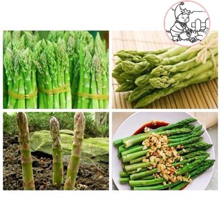 HẠT MĂNG TÂY - GÓI 10 HẠT