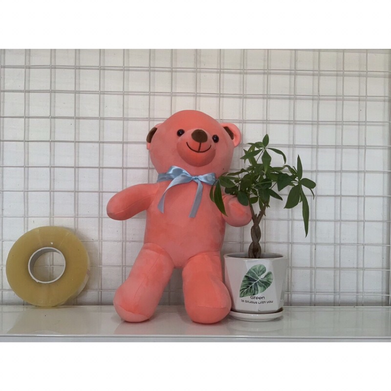 gấu bông teddy đeo nơ xinh xắn (ảnh tự chụp)