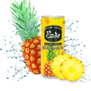 THUNG NUOC EP TRAI CAY DUA - NHA DAM ( 30LON - 240ML)