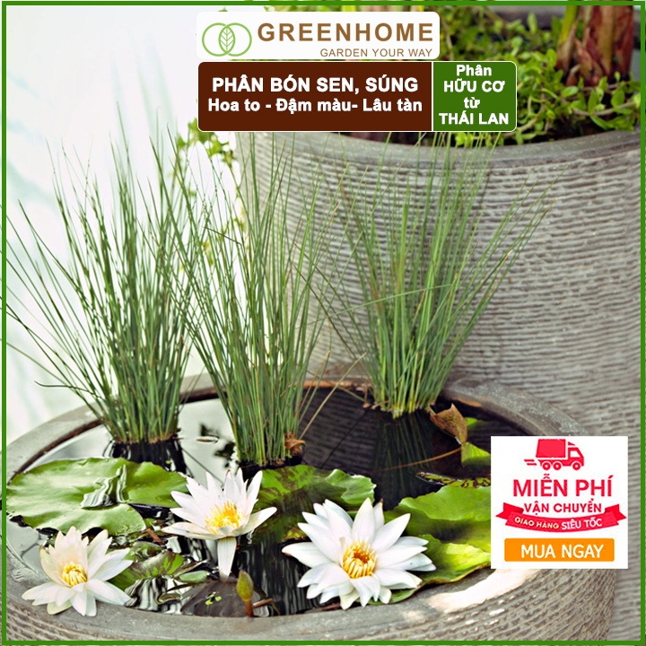 Phân bón hoa Sen, vỉ 14 viên, cây thuỷ sinh, ngập nước, cho hoa to, hoa đậm màu, lâu tàn, tốt lá |Greenhome