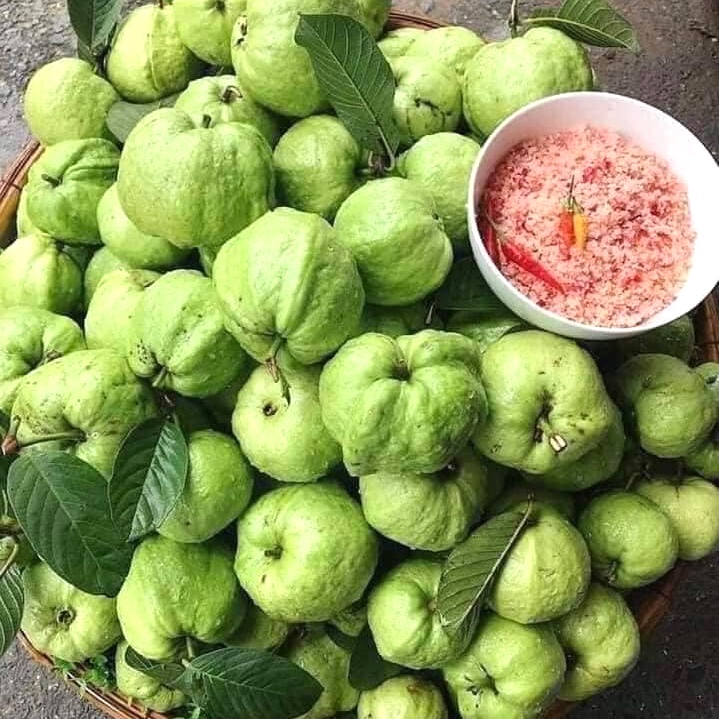 Ổi nữ hoàng tiêu biến hạt hái tận vườn miền tây tươi ngon mỗi ngày