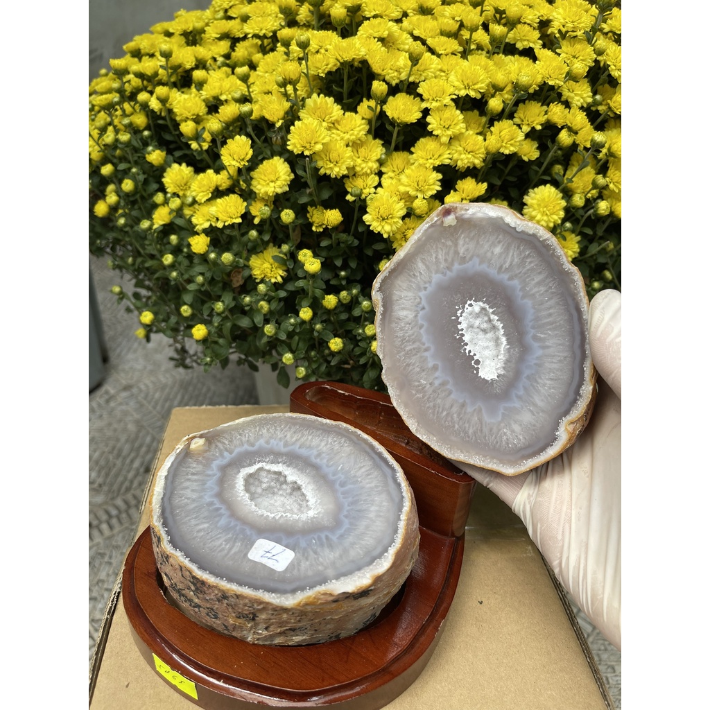 BÁT TỤ BẢO MA NAO – BÁT TỤ LỘC (TB65), KT: 13.5×14 CM, KL: 1.5 KG | CADA DECOR