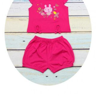 Combo 10 bộ giá 1260k