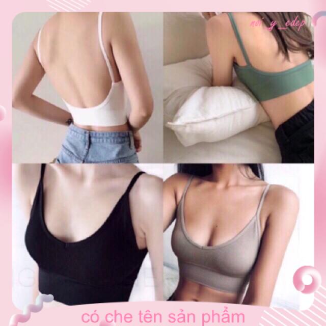 Áo bra cotton gân tăm 367 VENIZO hàng loại 1 [kho sỉ] | BigBuy360 - bigbuy360.vn