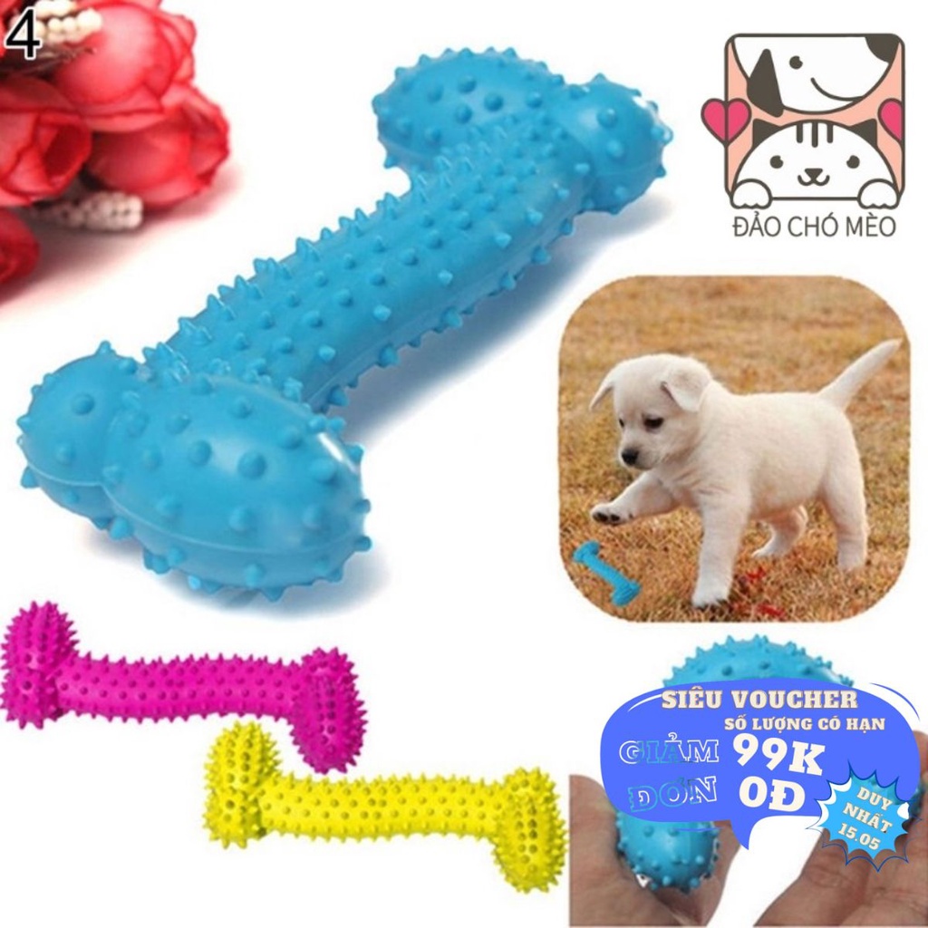 Đồ chơi gặm dành cho thú cưng gặm thiết kế nhiều màu mẫu mã tùy chọn - Đảo Chó Mèo