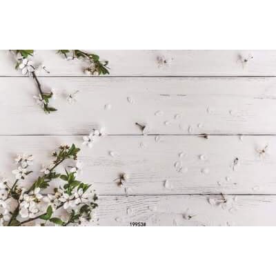 TẤM PHÔNG NỀN 3D CHỤP ẢNH