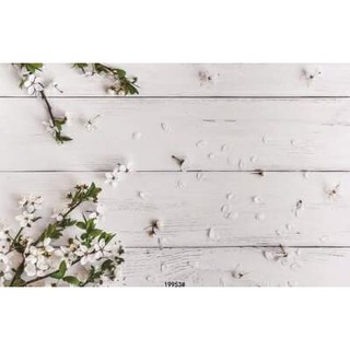 TẤM PHÔNG NỀN 3D CHỤP ẢNH