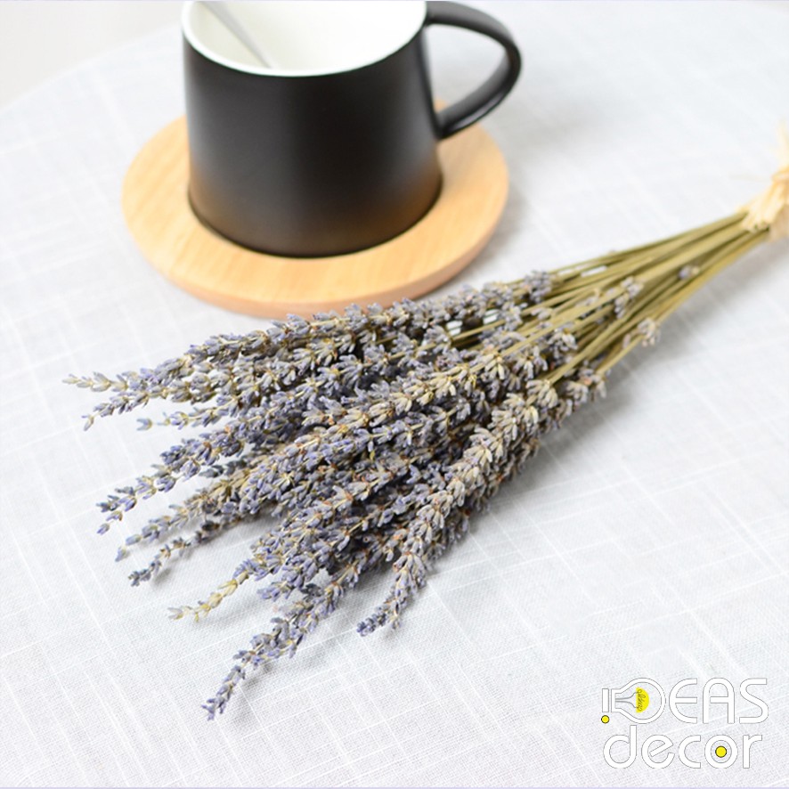 Bó hoa Lavender khô - Chụp ảnh quần áo, đồ ăn, thức uống, mỹ phẩm, trang sức - Ideas Decor