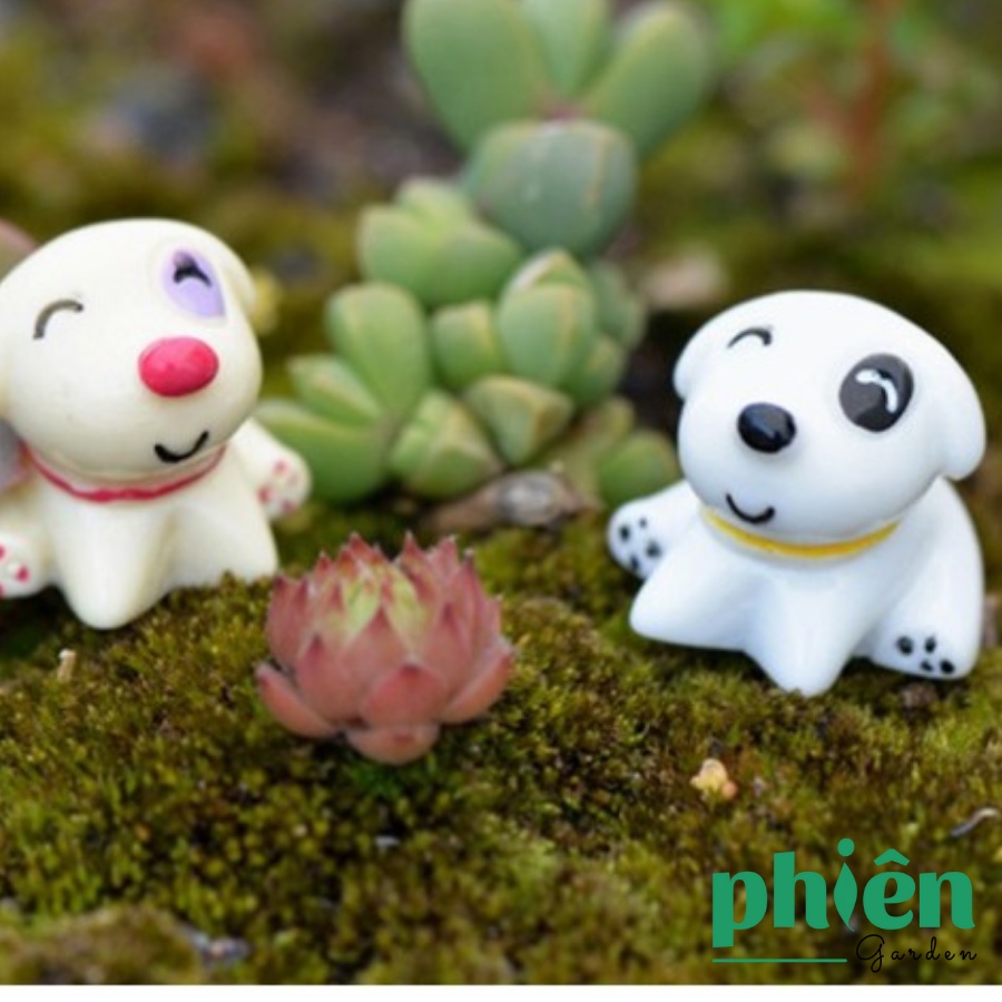 Tiểu cảnh Chó Puppy trang trí sen đá, terrarium, Phụ kiện Tiểu cảnh mini