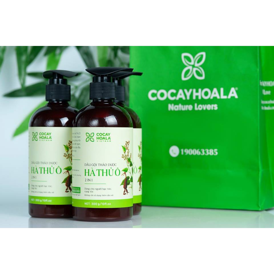 Dầu Gội Hà Thủ Ô Kích Thích Sắc Tố Mầm Tóc Cocayhoala 300g | BigBuy360 - bigbuy360.vn