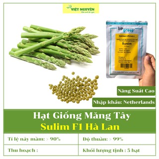 Hạt Giống Măng Tây Sulim F1 Hà Lan Cho Năng Suất Cao Vượt Trội, Nảy Mầm Khỏe