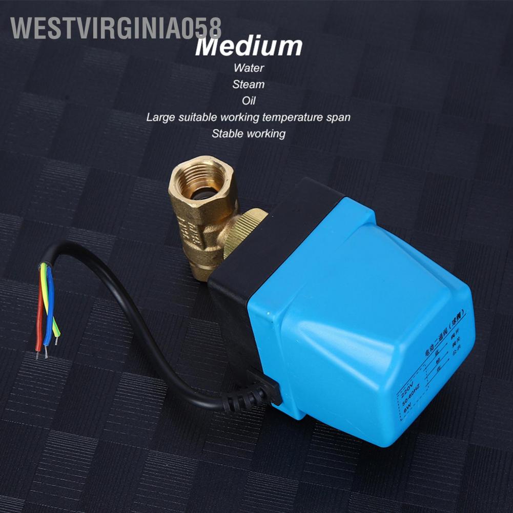 Có thể bán buôn Van bi điện 2 chiều 3 dây điều khiển Bảo vệ IP54 Động cơ đồng bộ Blue AC220V Hàng giao ngay Westvirginia058