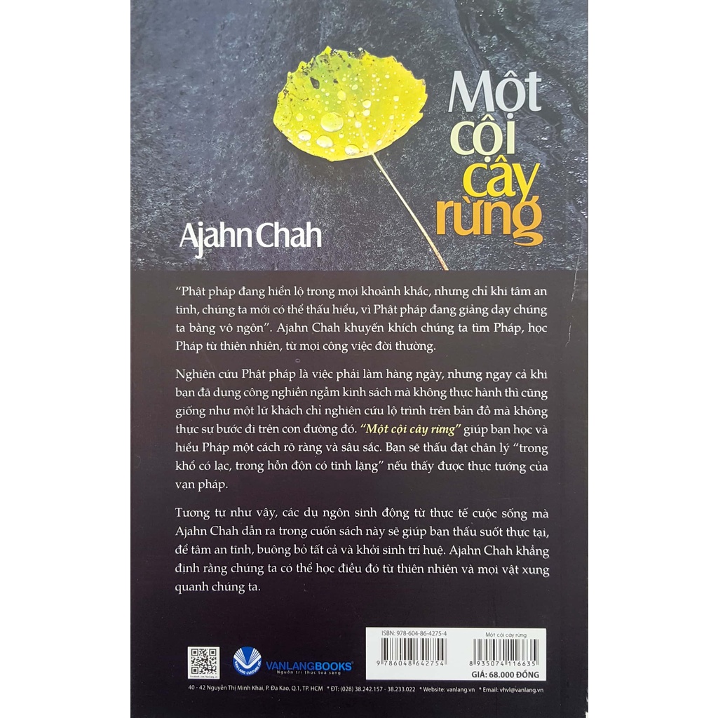 Sách - Một Cội Cây Rừng (Ajahn Chah - Văn Lang)