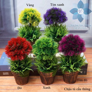 Chậu Hoa Để Bàn 🌺FREESHIP🌺 Hoa Giả Trang Trí