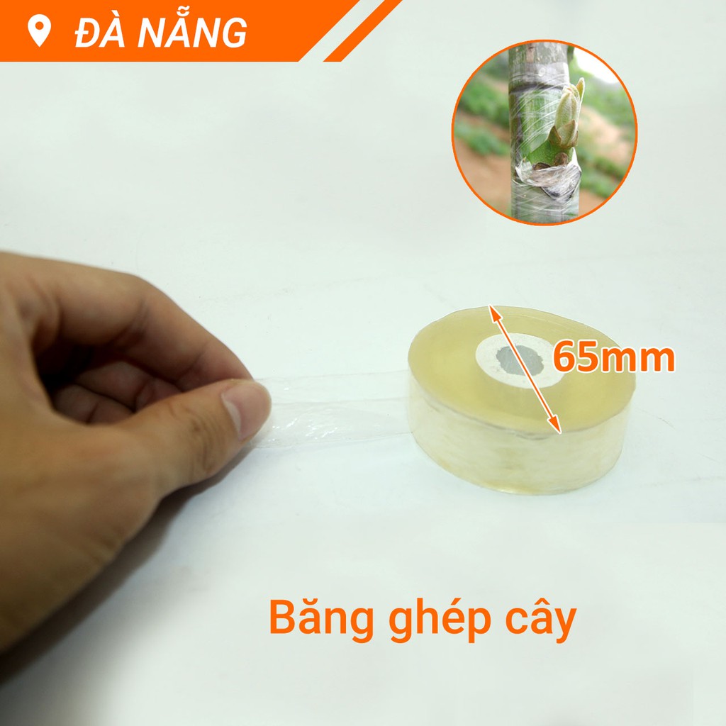 Băng ghép cây vàng khổ 2cm