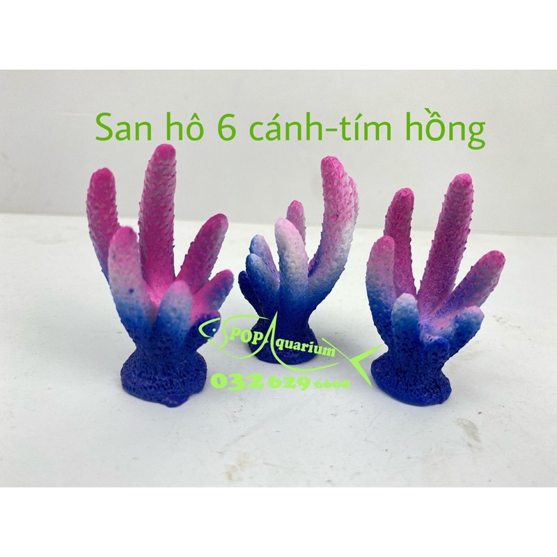 San hô trang trí bể cá nhỏ
