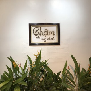 Combo 10kg cà phê Arabica Đà Lạt [500gram/ bịch]