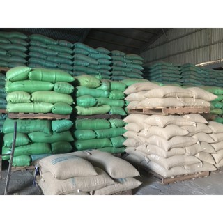 [FREESHIP 99K TOÀN QUỐC]1KG CÀ PHÊ HẠT ARABICA HẢO HẠNG (TÚI ZIP)