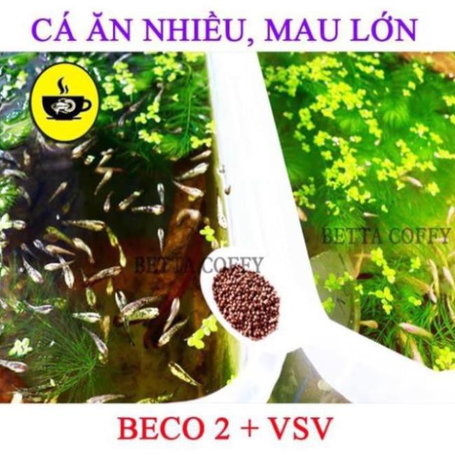 Vợt Nước Siêu Tiện Lợi - Chống sốc khi vớt cá
