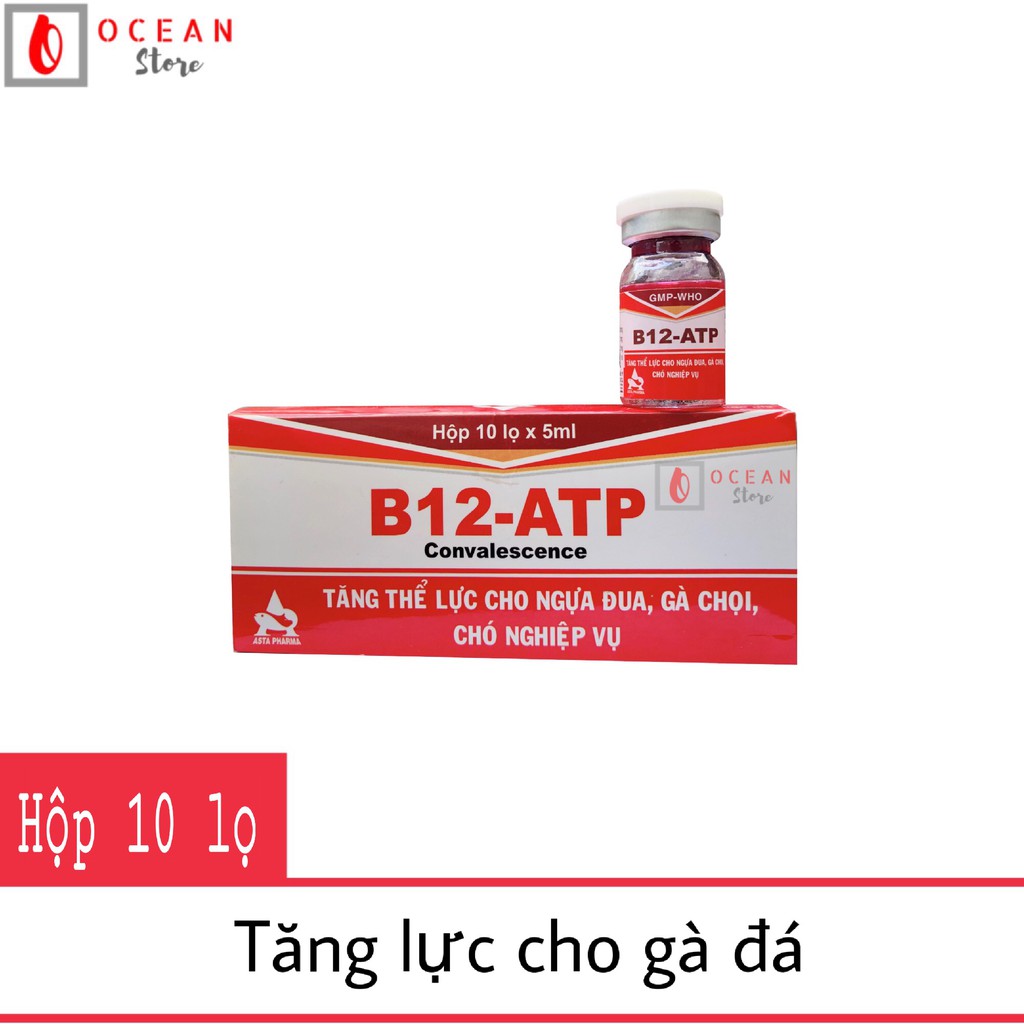 (Hộp 10 lọ) B12 ATP cho gà đá