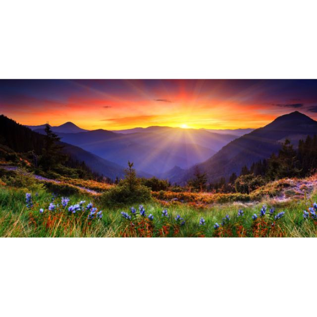 Tranh 3D bể cá kt 100x50cm