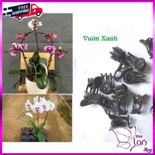 Kẹp Bướm Nhựa ⚜️FREESHIP⚜️ Cố ĐỊnh Tạo Dáng Cho Hoa Lan, Cây Cảnh [ 2 Chiếc ]