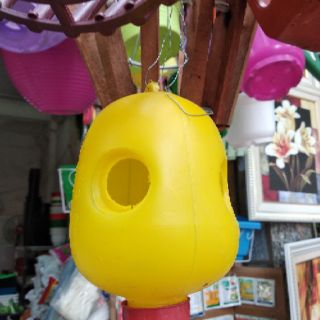 Thuốc bẫy ruồi vàng Vizubon