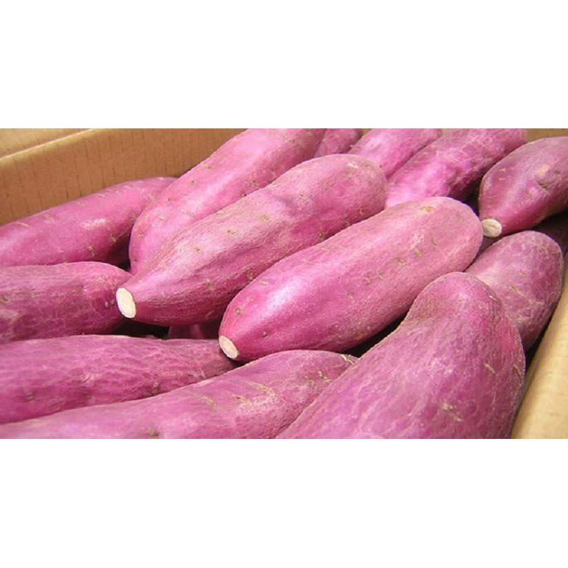 Khoai lang Nhật ruột vàng xuất khẩu đà lạt - 1kg  - giao hàng ifast - cbig.vn hệ thống tạp hóa cbig.vn