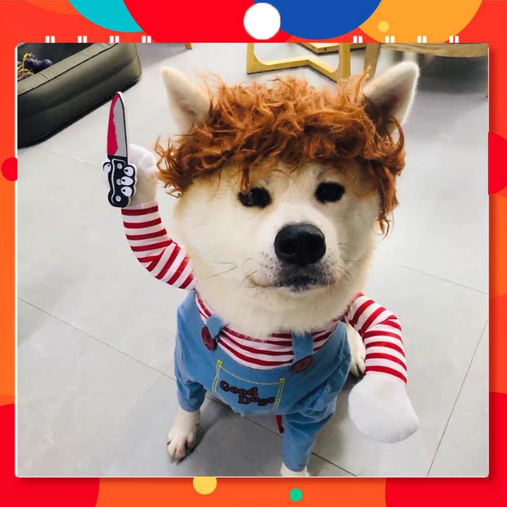 Quần áo thú cưng, Quần áo cho chó mèo hình killer boy, siêu ngộ nghĩnh