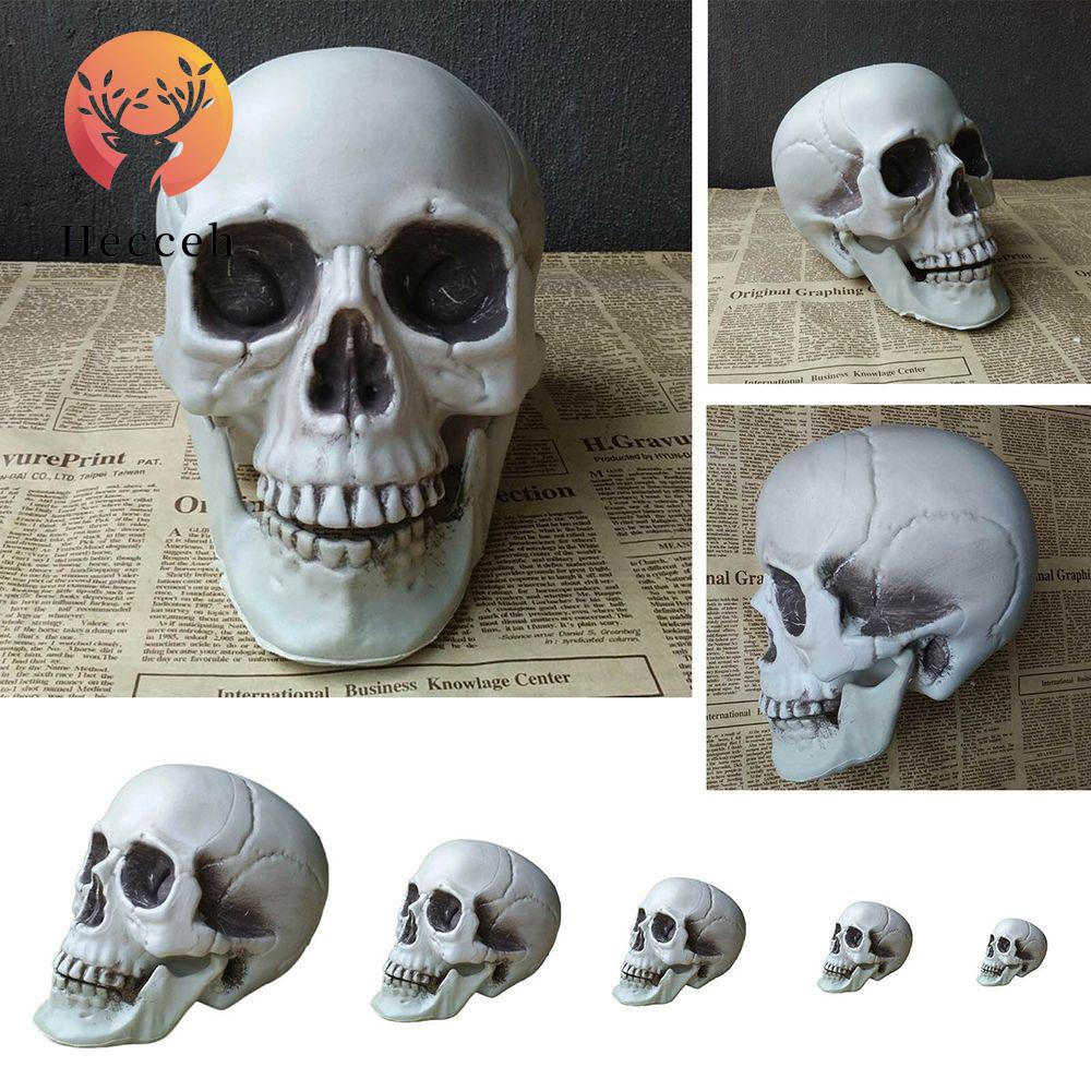 1 Đầu Lâu Trang Trí Halloween Chất Lượng Cao